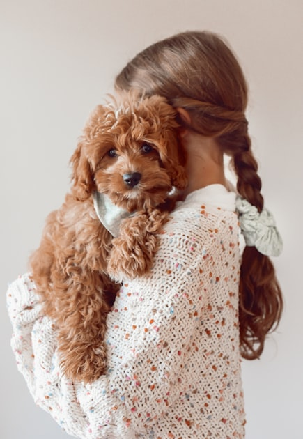 The Power of Community Support for Pets